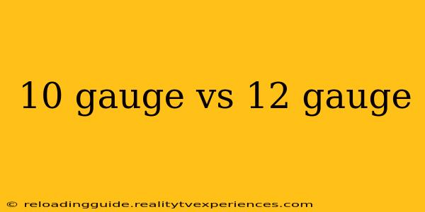 10 gauge vs 12 gauge