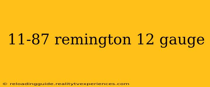 11-87 remington 12 gauge