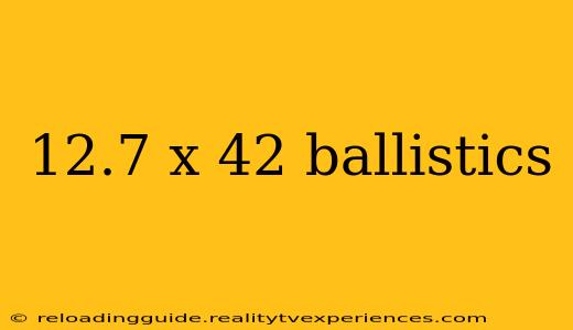 12.7 x 42 ballistics