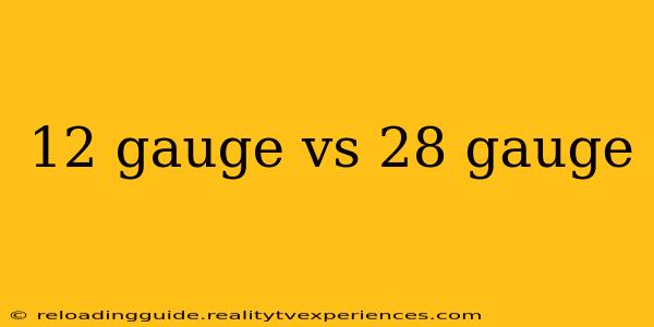 12 gauge vs 28 gauge