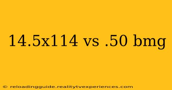 14.5x114 vs .50 bmg