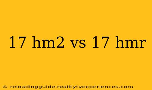 17 hm2 vs 17 hmr