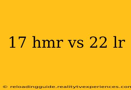 17 hmr vs 22 lr