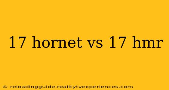 17 hornet vs 17 hmr