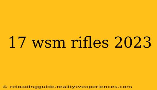 17 wsm rifles 2023