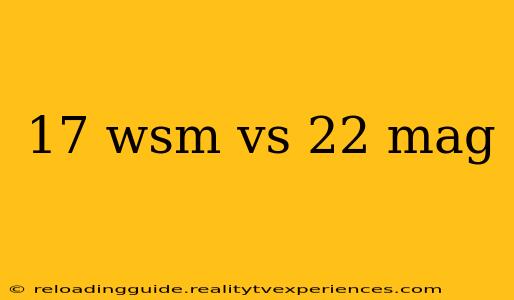 17 wsm vs 22 mag