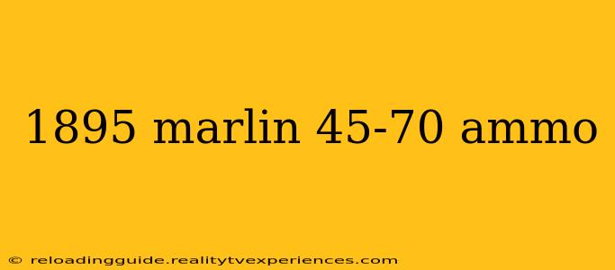 1895 marlin 45-70 ammo