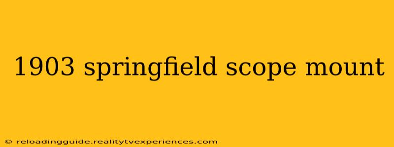 1903 springfield scope mount