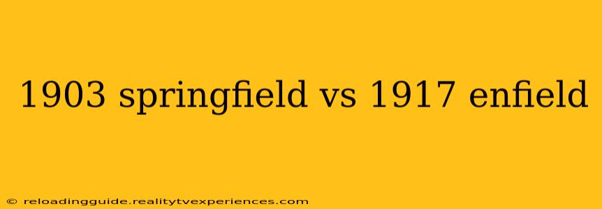 1903 springfield vs 1917 enfield