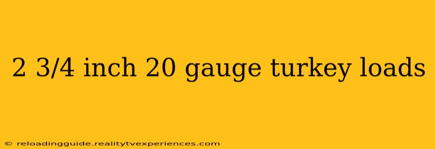 2 3/4 inch 20 gauge turkey loads