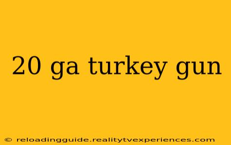 20 ga turkey gun