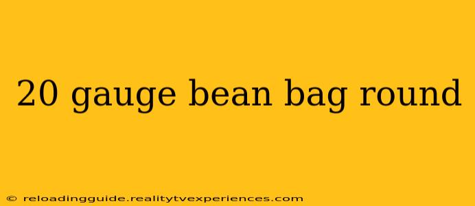 20 gauge bean bag round