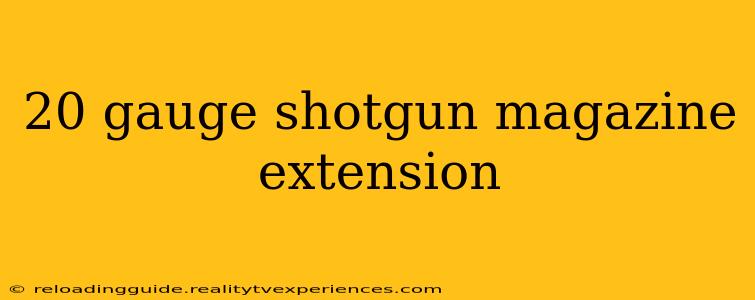 20 gauge shotgun magazine extension