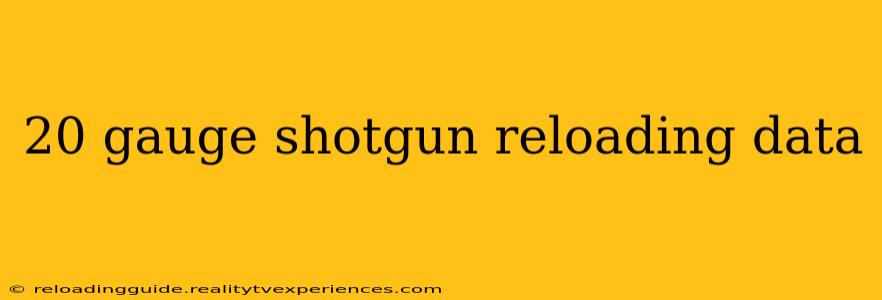 20 gauge shotgun reloading data