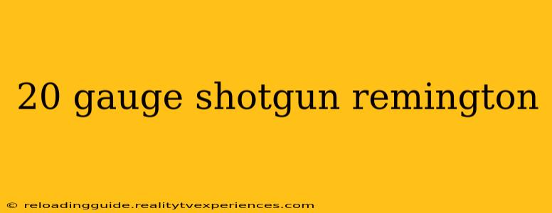 20 gauge shotgun remington