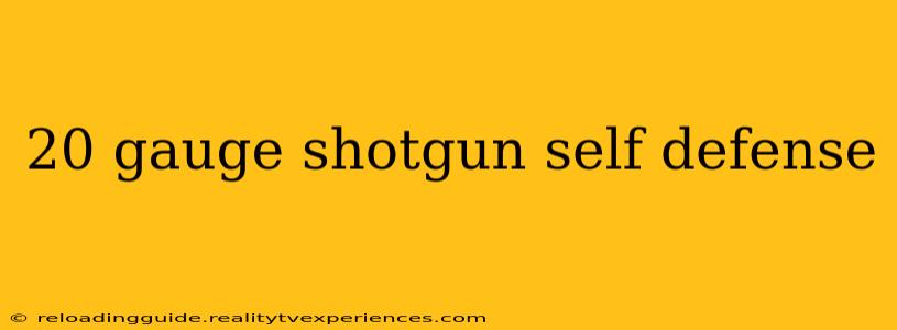 20 gauge shotgun self defense