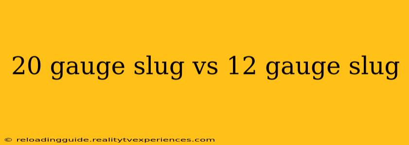 20 gauge slug vs 12 gauge slug