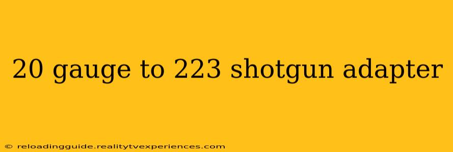 20 gauge to 223 shotgun adapter