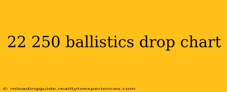 22 250 ballistics drop chart