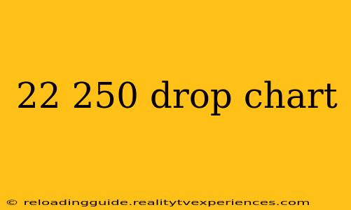 22 250 drop chart