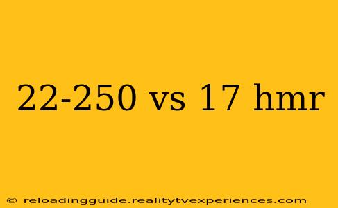 22-250 vs 17 hmr