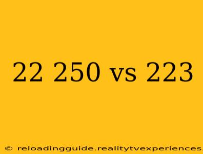 22 250 vs 223