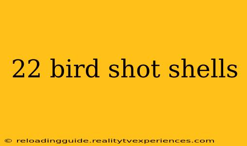 22 bird shot shells