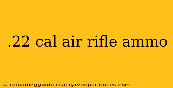 .22 cal air rifle ammo