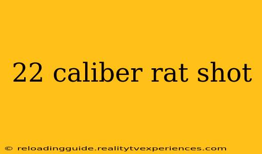 22 caliber rat shot