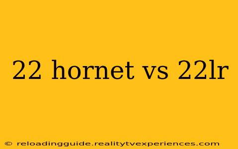 22 hornet vs 22lr