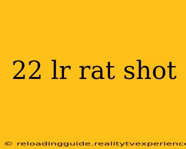 22 lr rat shot