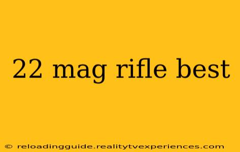 22 mag rifle best