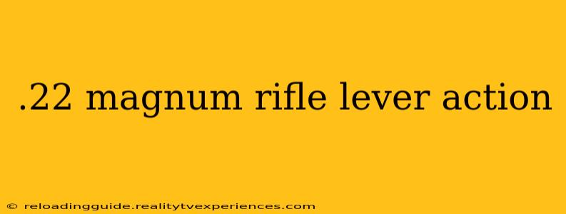 .22 magnum rifle lever action