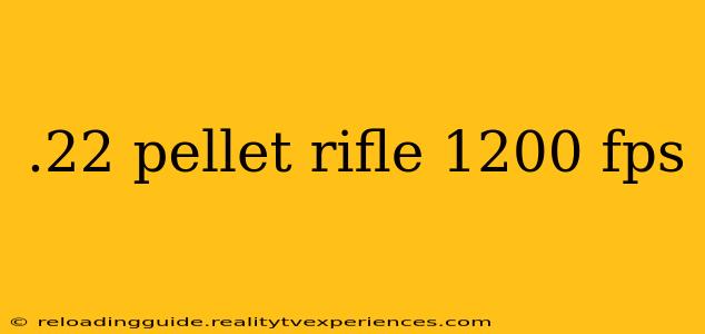 .22 pellet rifle 1200 fps