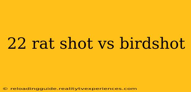 22 rat shot vs birdshot