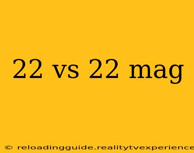 22 vs 22 mag