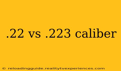 .22 vs .223 caliber