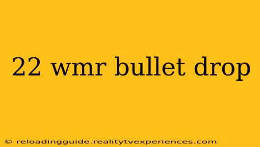 22 wmr bullet drop