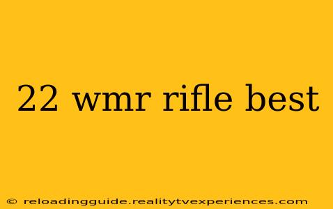 22 wmr rifle best