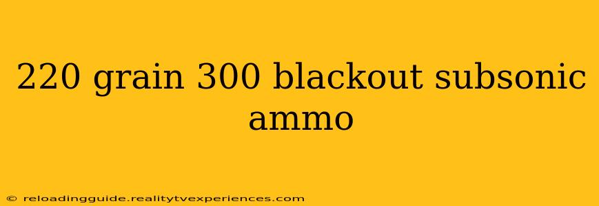 220 grain 300 blackout subsonic ammo