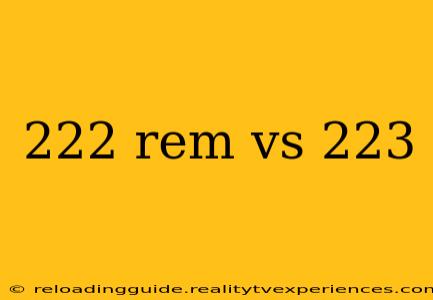 222 rem vs 223