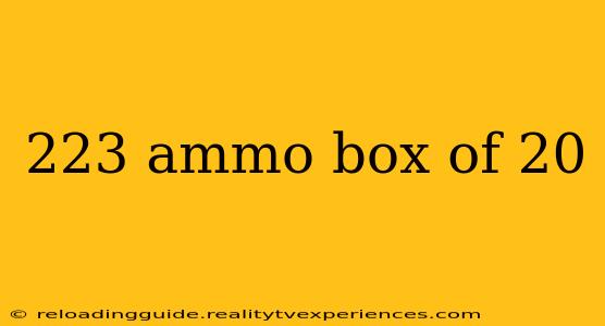 223 ammo box of 20