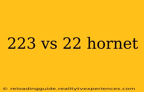 223 vs 22 hornet