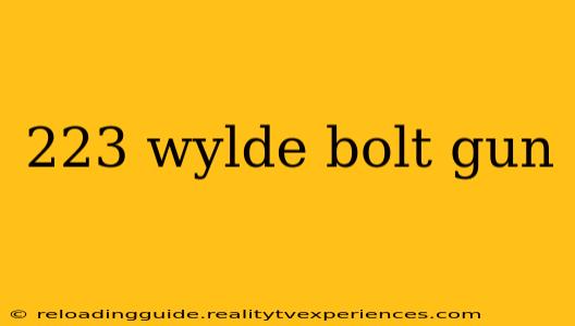 223 wylde bolt gun