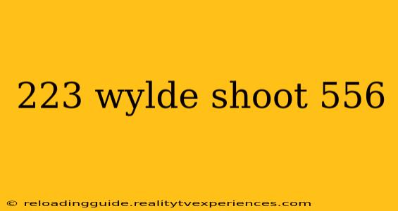 223 wylde shoot 556