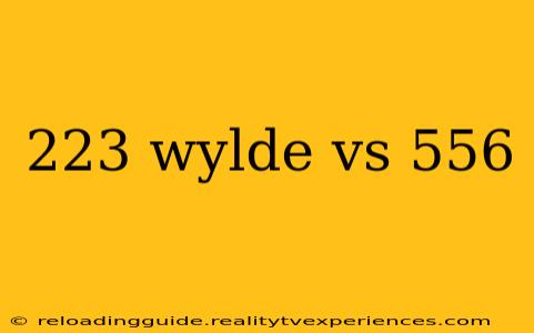 223 wylde vs 556