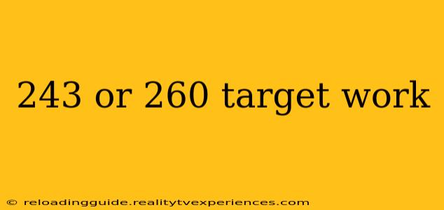 243 or 260 target work