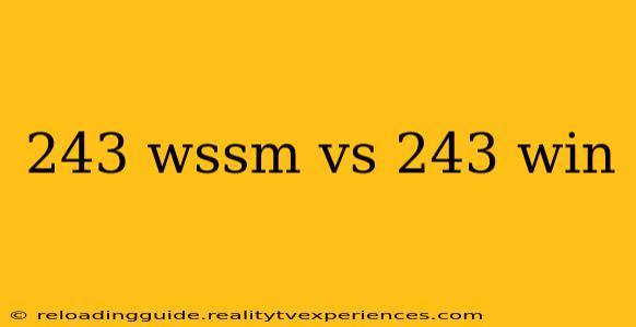 243 wssm vs 243 win