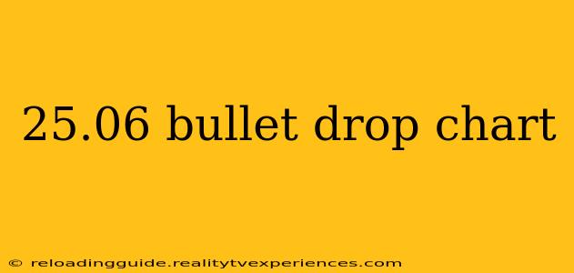 25.06 bullet drop chart