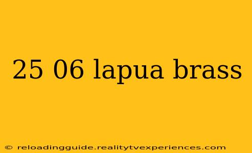 25 06 lapua brass